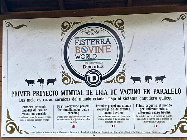 Cambio de alimentación de Fisterra Bovine World.