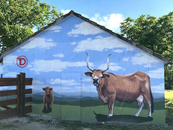 España Directo de TVE en Fisterra Bovine World.